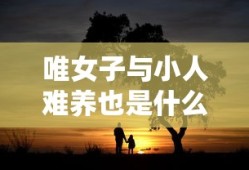 唯女子与小人难养也是什么意思