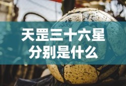 天罡三十六星分别是什么