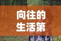 向往的生活第三季