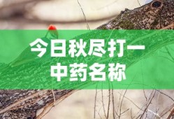 今日秋尽打一中药名称