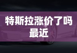 特斯拉涨价了吗最近