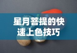 星月菩提快速上色技巧