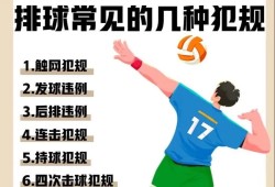 排球游戏，激情与策略的完美结合