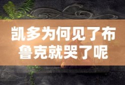 凯多为何见了布鲁克就哭了呢