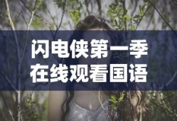 闪电侠第一季在线观看国语版