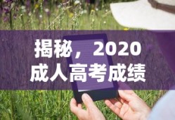 揭秘，2020成人高考成绩查询全攻略——步骤、注意事项及后续行动指南