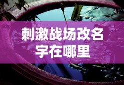 刺激战场改名字在哪里