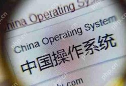 中国未能打造出垄断的操作系统的原因分析