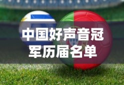 中国好声音冠军历届名单