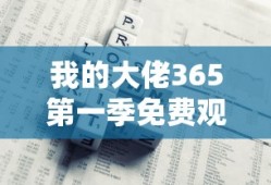 我的大佬365第一季免费观看