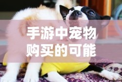 手游中宠物购买的可能性及其影响分析