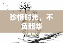 珍惜时光，不负韶华的智慧之道