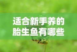奥比岛脚本