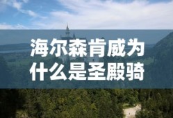 海尔森肯威为什么是圣殿骑士