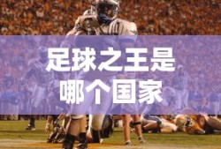 足球之王是哪个国家