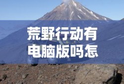 荒野行动有电脑版吗怎么下载