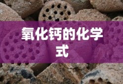 氧化钙的化学式