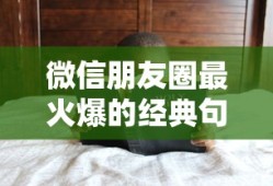 微信朋友圈热门经典句子精选