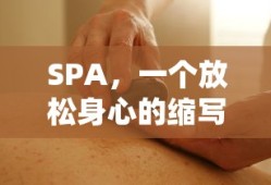 达克莱伊mega进化种族值