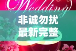 非诚勿扰最新完整版
