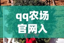 qq农场官网入口