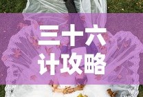 三十六计攻略武将组合