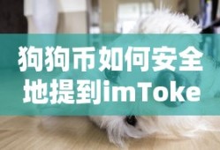 如何安全地将狗狗币提到imToken？