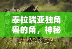 泰拉瑞亚，独角兽之角的无尽神秘用途