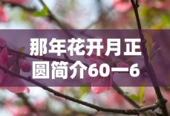 那年花开月正圆简介60一66集