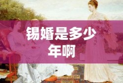 锡婚是多少年啊