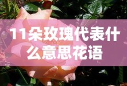 初学双人舞慢三基本步教学视频