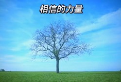 fifaonline3m官网手机版