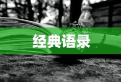与君相识，经典语录精选