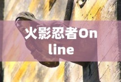 火影忍者Online下载，探索虚拟世界的冒险之旅，火影忍者Online，虚拟冒险之旅的下载探索