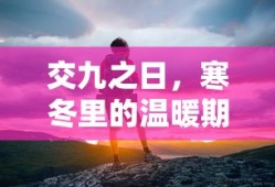交九寒冬中的温暖期盼