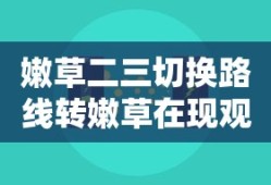 嫩草二三切换路线转嫩草在现观看