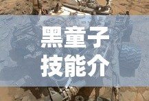 比亚迪确认5款新车今年上市了吗
