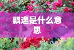 飘逸是什么意思