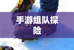 狩猎原野，手游组队探险的乐趣与挑战