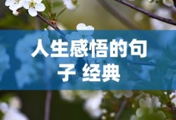 人生感悟的句子 经典