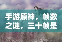 手游原神，帧数之谜，三十帧是否唯一选择？