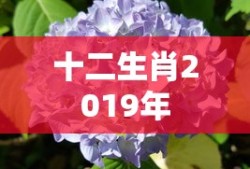 聂曦映