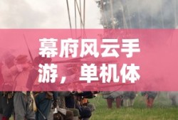 幕府风云手游，单机体验下的历史重现