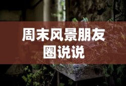 周末风景朋友圈说说