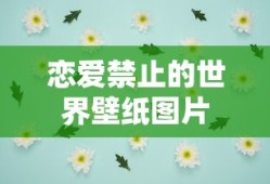 恋爱禁止的世界壁纸图片