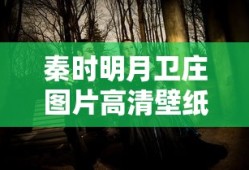 秦时明月卫庄图片高清壁纸