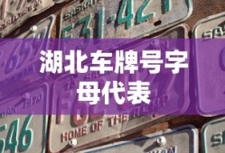 湖北车牌号字母代表