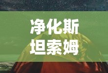 净化斯坦索姆入口的探索与挑战