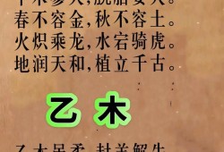 贾斯汀比伯车子