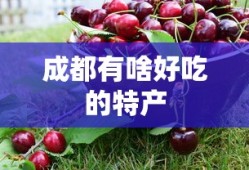 成都有啥好吃的特产
